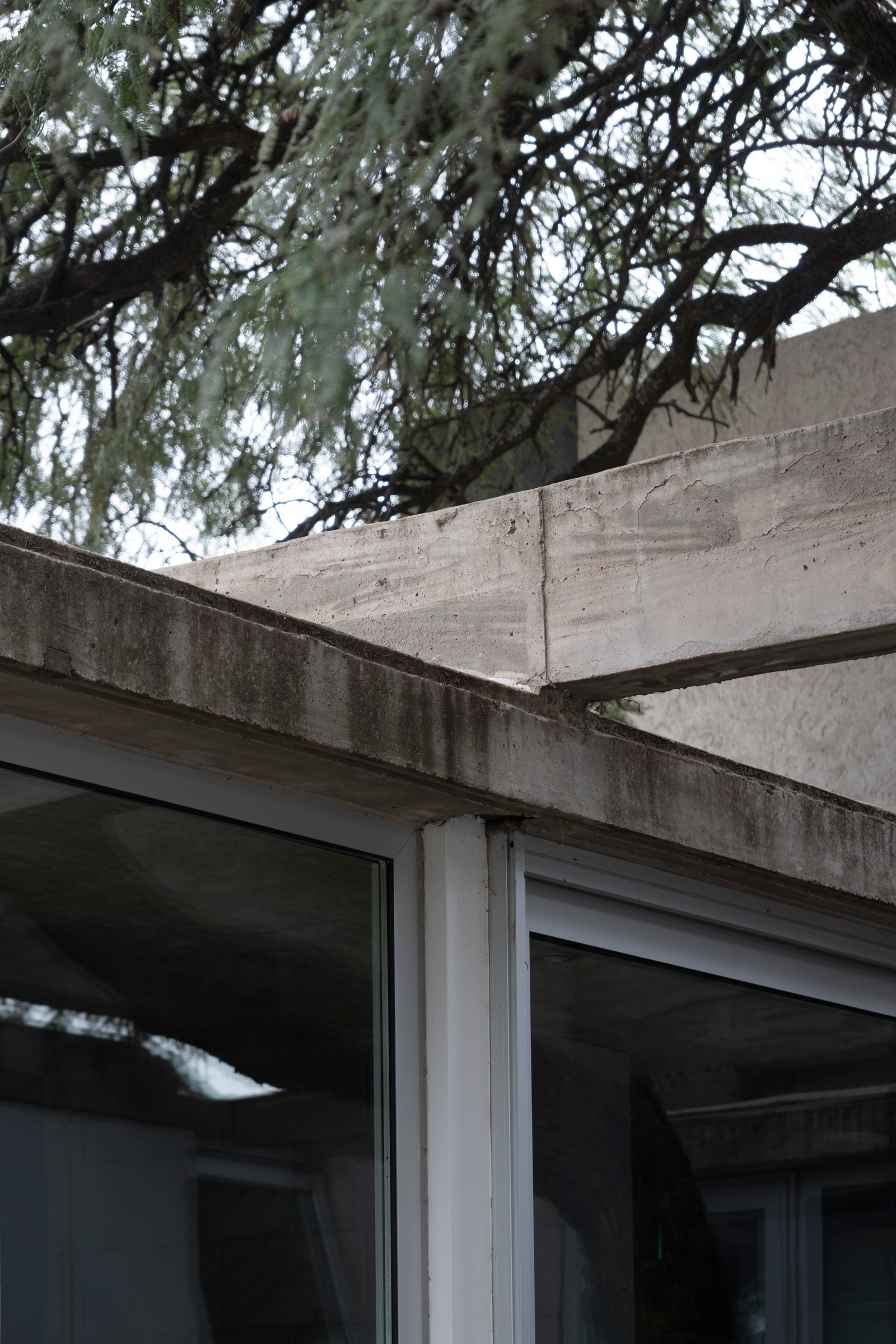 fachada brutalista com vegetação proeminente — projeto CASA CHI, por Sol Blanc. arquitecta, em Córdoba