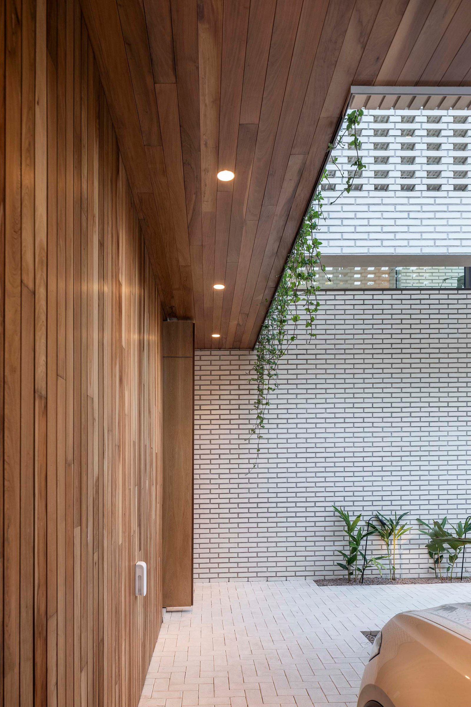 Techo de madera y pared de ladrillo blanco con vegetación colgante — proyecto Casa Magnolia, por Estudio PK, en San Isidro
