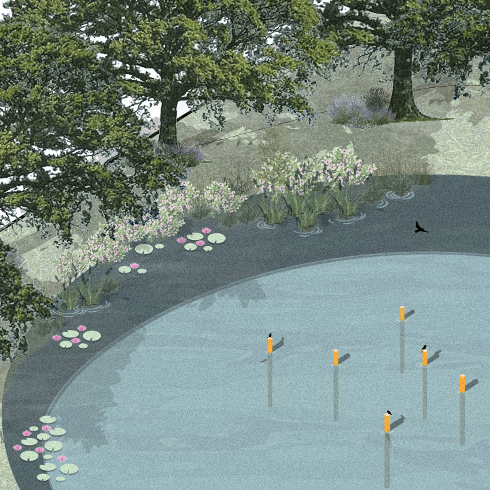 área de piscina moderna cercada por vegetação e árvores — projeto Central Park - Terralagos, por Estudio Rifahi, em Canning