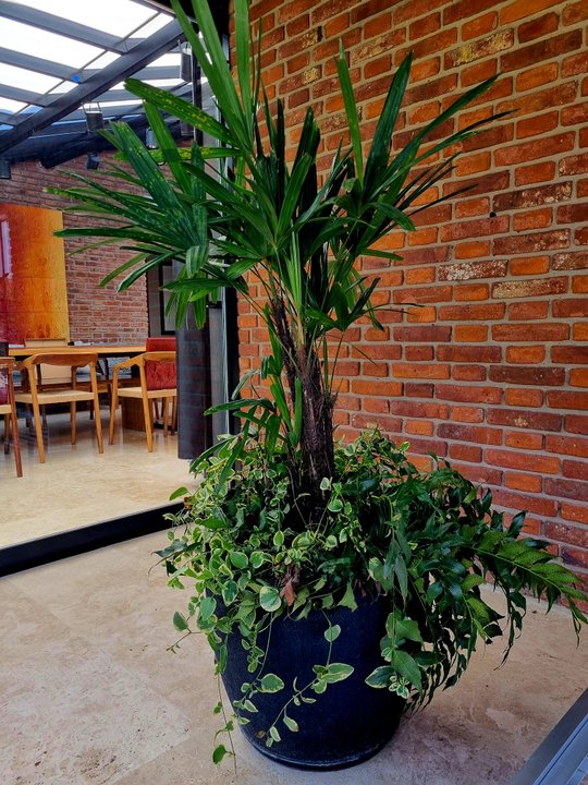 Foto del proyecto