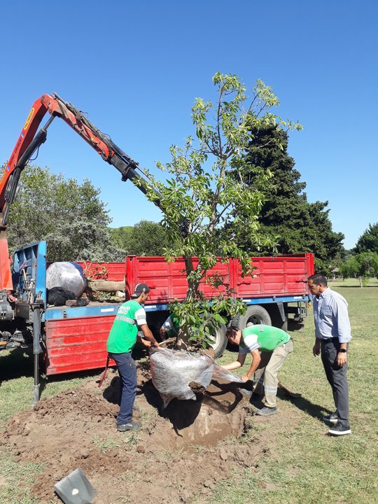 Foto del proyecto