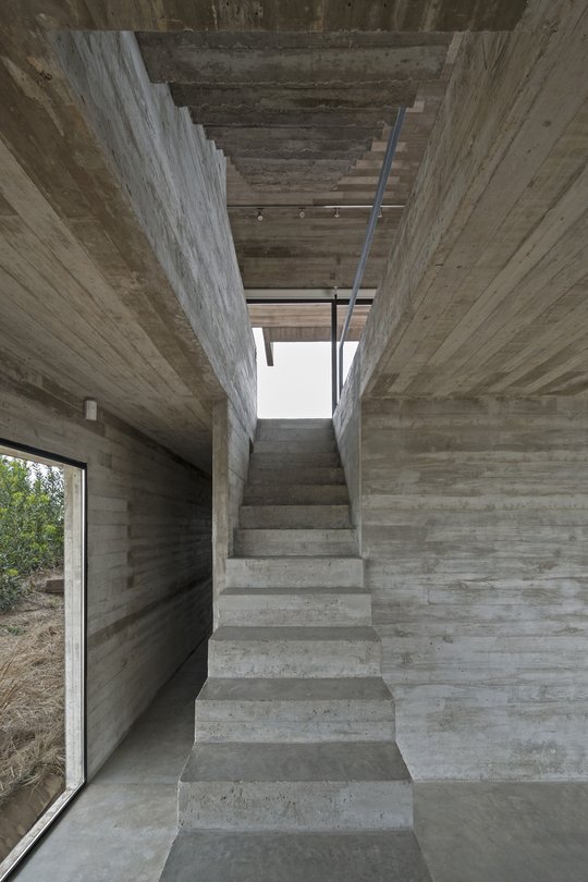 Foto del proyecto