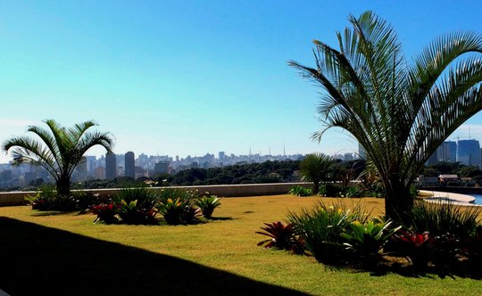Foto del proyecto