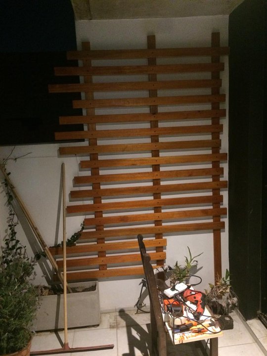 Foto del proyecto