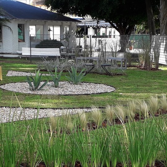 Foto del proyecto