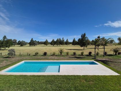 Pileta rectangular moderna con vistas al campo extenso y arbolado — proyecto Casa Golf, por RY Construir Estudio, en San Vicente