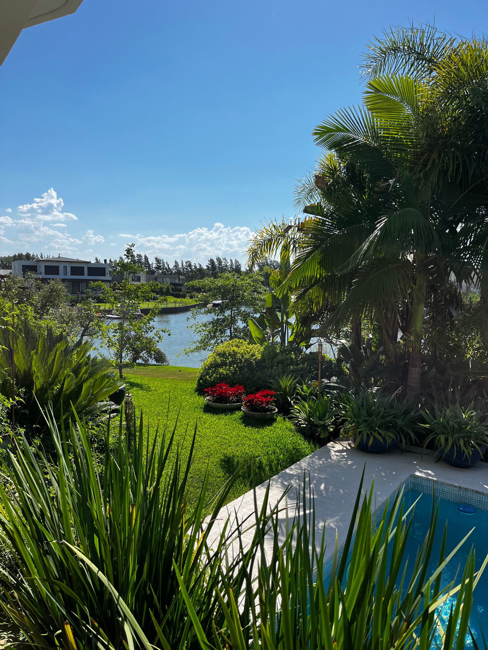 Jardín moderno con piscina y vegetación exuberante — proyecto Diseño orgánico , por Estudio Gardenia, en Av. Sta. María de las Conchas 4249