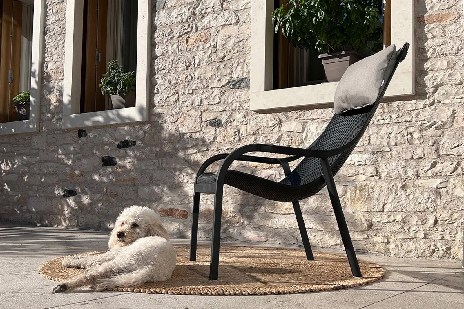 Perro y silla moderna en patio de piedra — proyecto Reposeras NARDI®, por Casa Nuñez