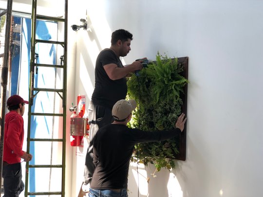 Foto del proyecto