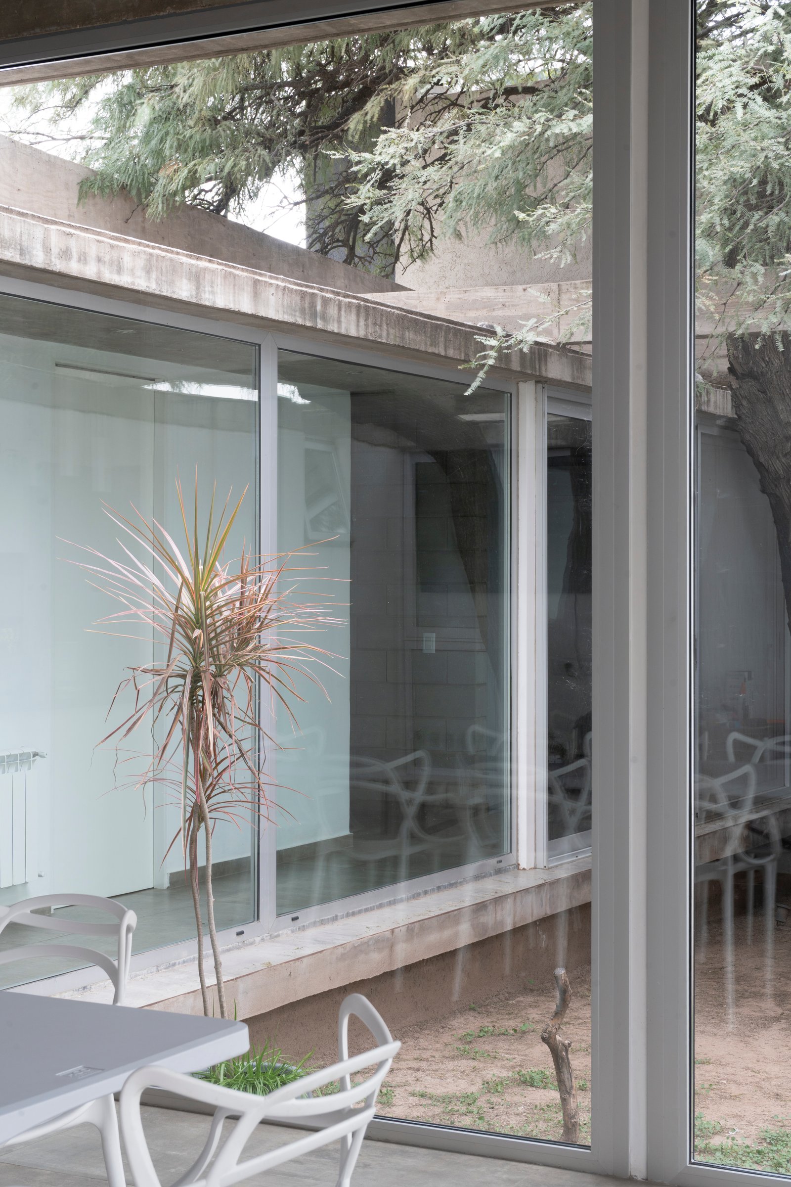 Patio moderno de concreto con amplios ventanales y mobiliario escultural — proyecto CASA CHI, por Sol Blanc. arquitecta, en Córdoba