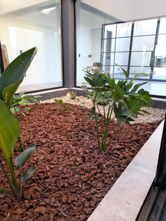 Foto del proyecto