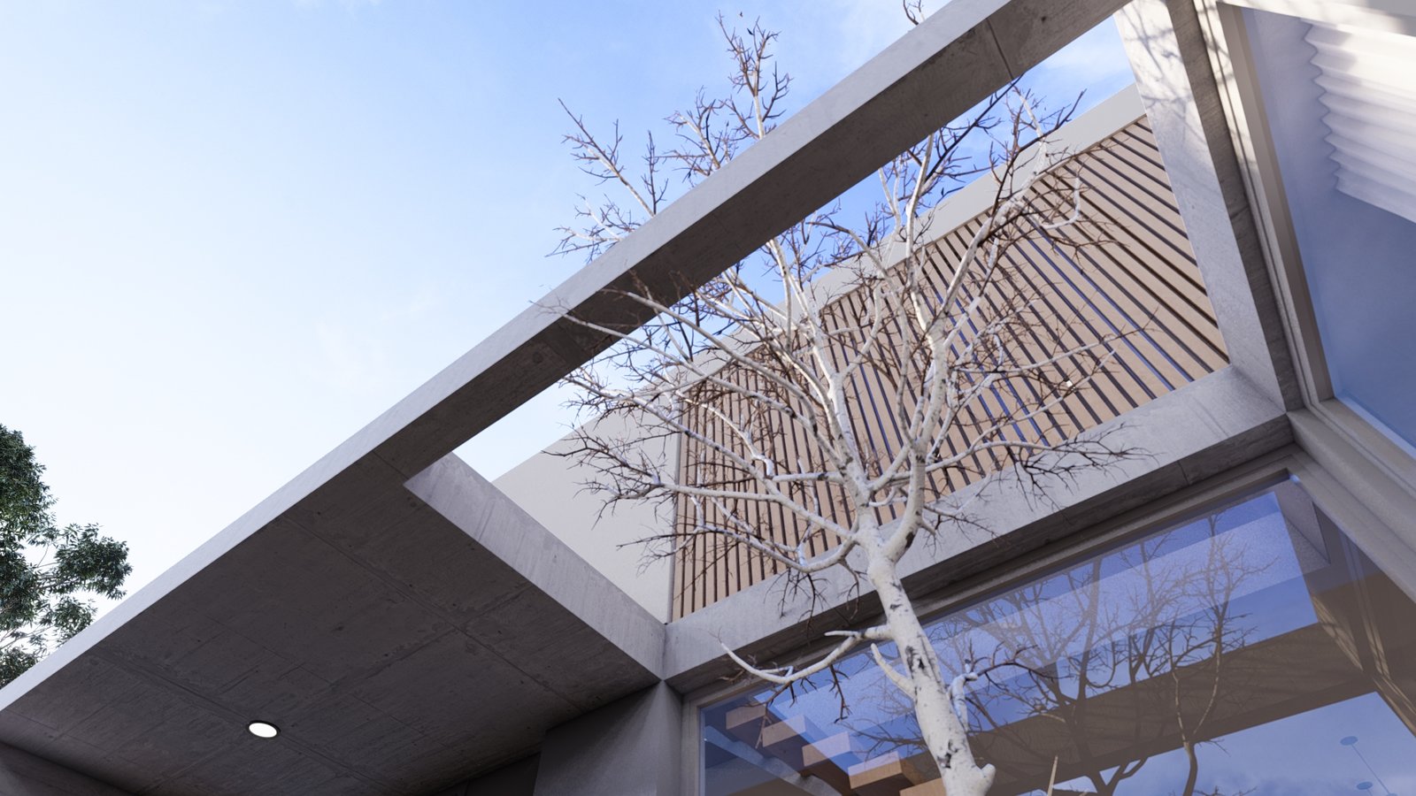 Átrio moderno de hormigón con árbol y claraboya — proyecto Casa JB, por Hermann Arquitectos, en M775+94