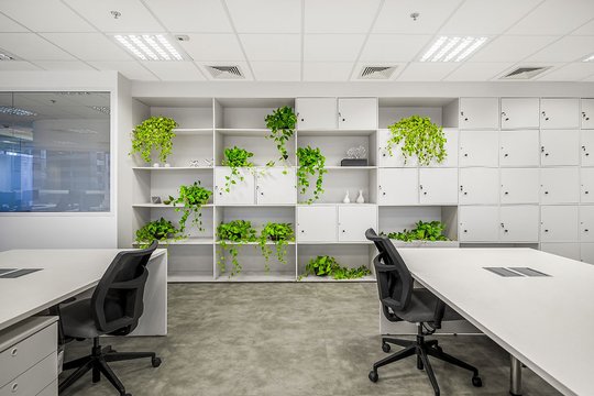 Foto del proyecto