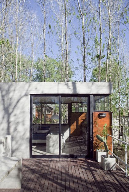 Terraza minimalista con deck de madera frente a bosque de árboles — proyecto Conjunto Las Gaviotas, por Luciano Kruk
