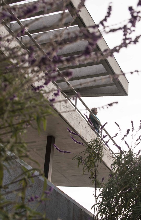Foto del proyecto