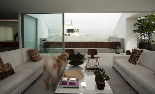 Foto del proyecto