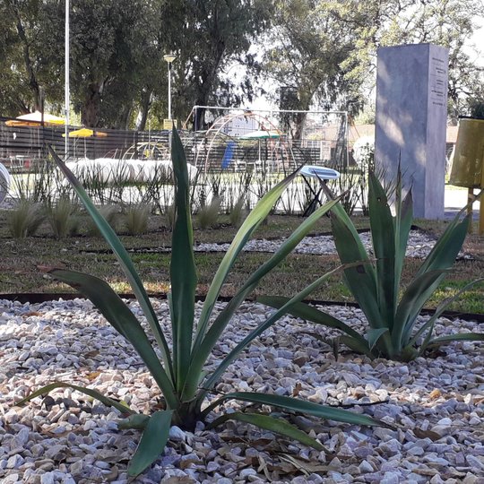 Foto del proyecto