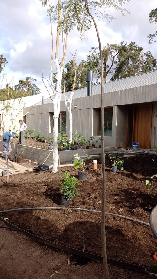 Foto del proyecto