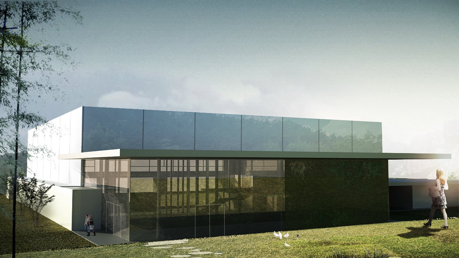 Wildcat Arena - Escola Internacional