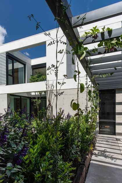 Fachada moderna con mucha vegetación y pérgola — proyecto CASA SD28, por GMARQ, en Buenos Aires
