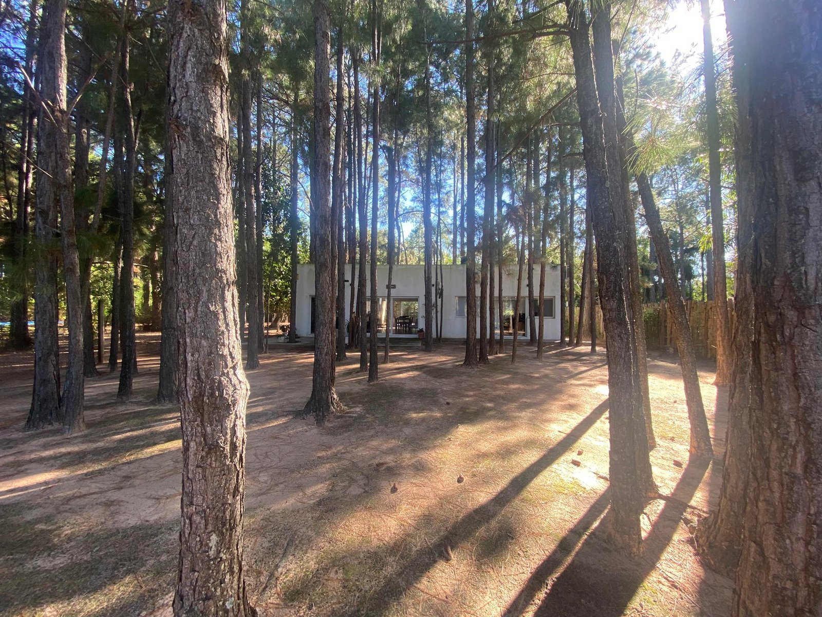 Casa moderna rodeada de árboles con grandes ventanales — proyecto Casa en el Bosque, por Arquitecto Gustavo Maidana, en Santa Ana de los Guácaras