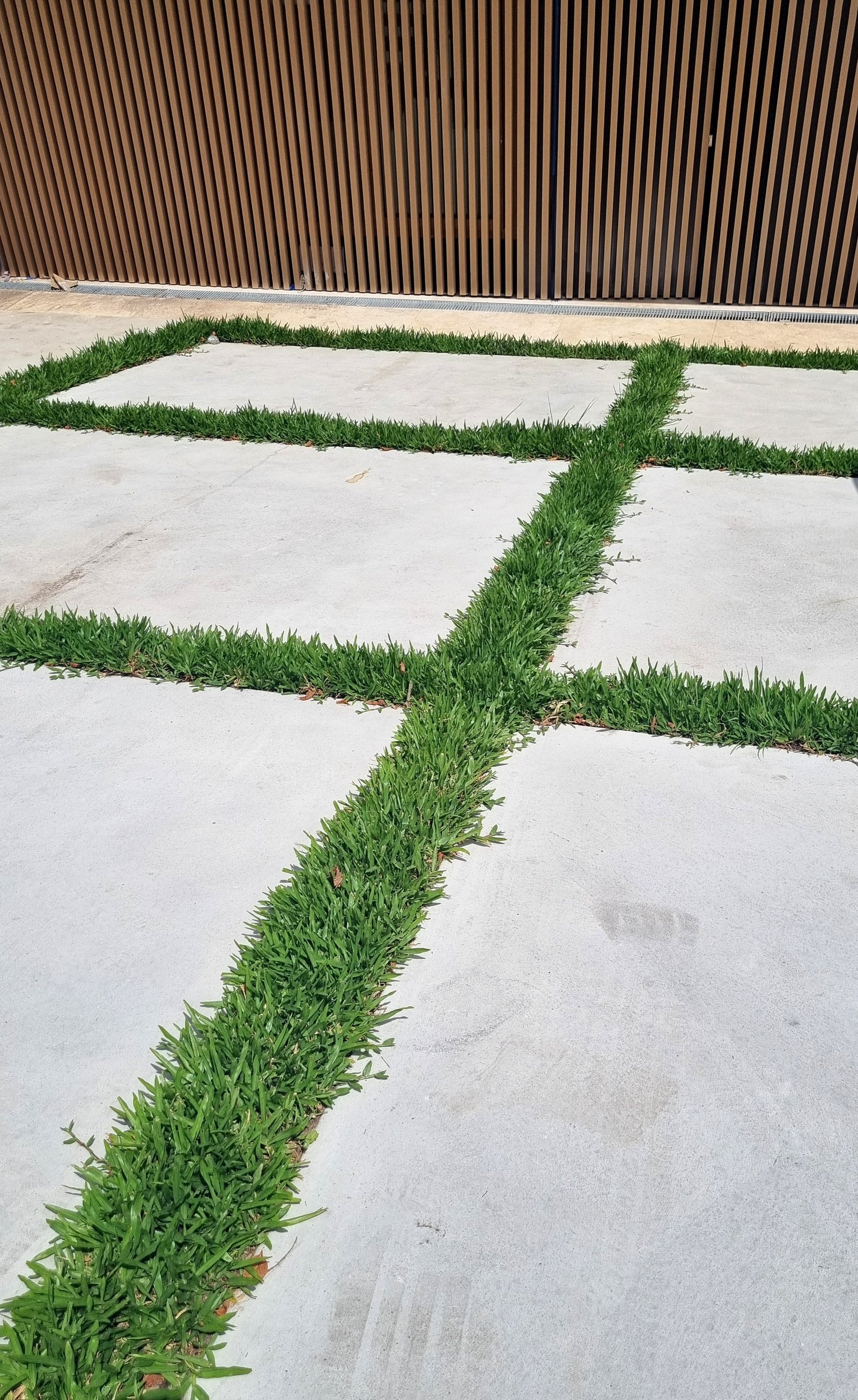 Patios modernos con césped geométrico y detalles de madera — proyecto Abril El Lago, por Marcela García Brünner Paisajista, en B1885 Guillermo Enrique Hudson