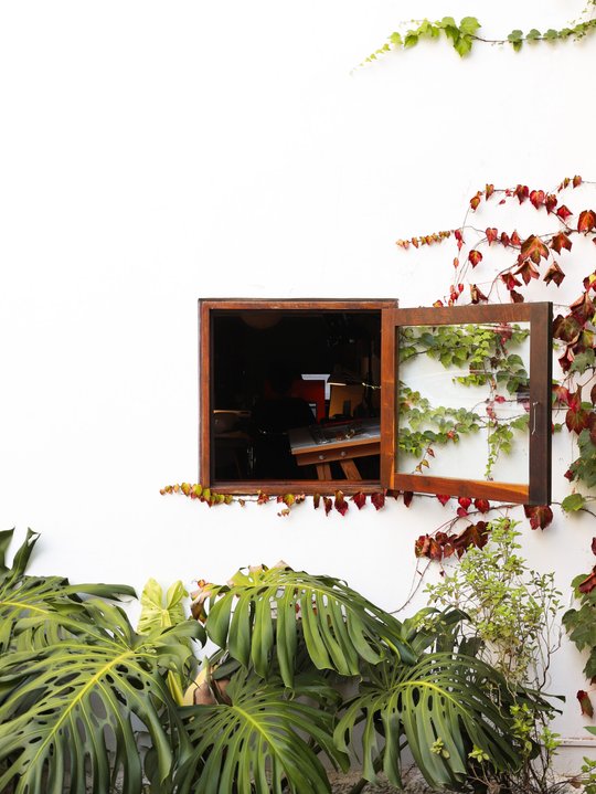 Foto del proyecto