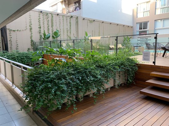 Foto del proyecto