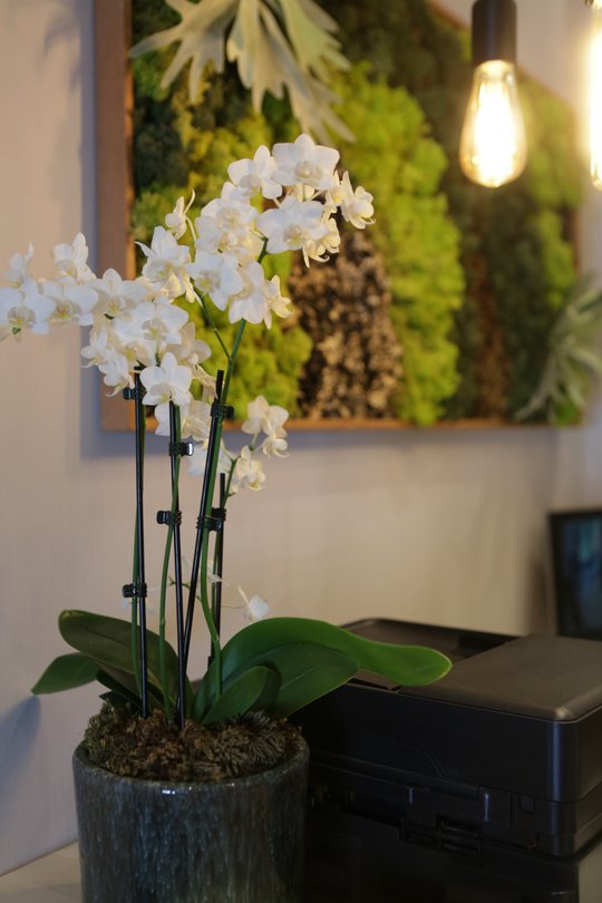 Foto del proyecto