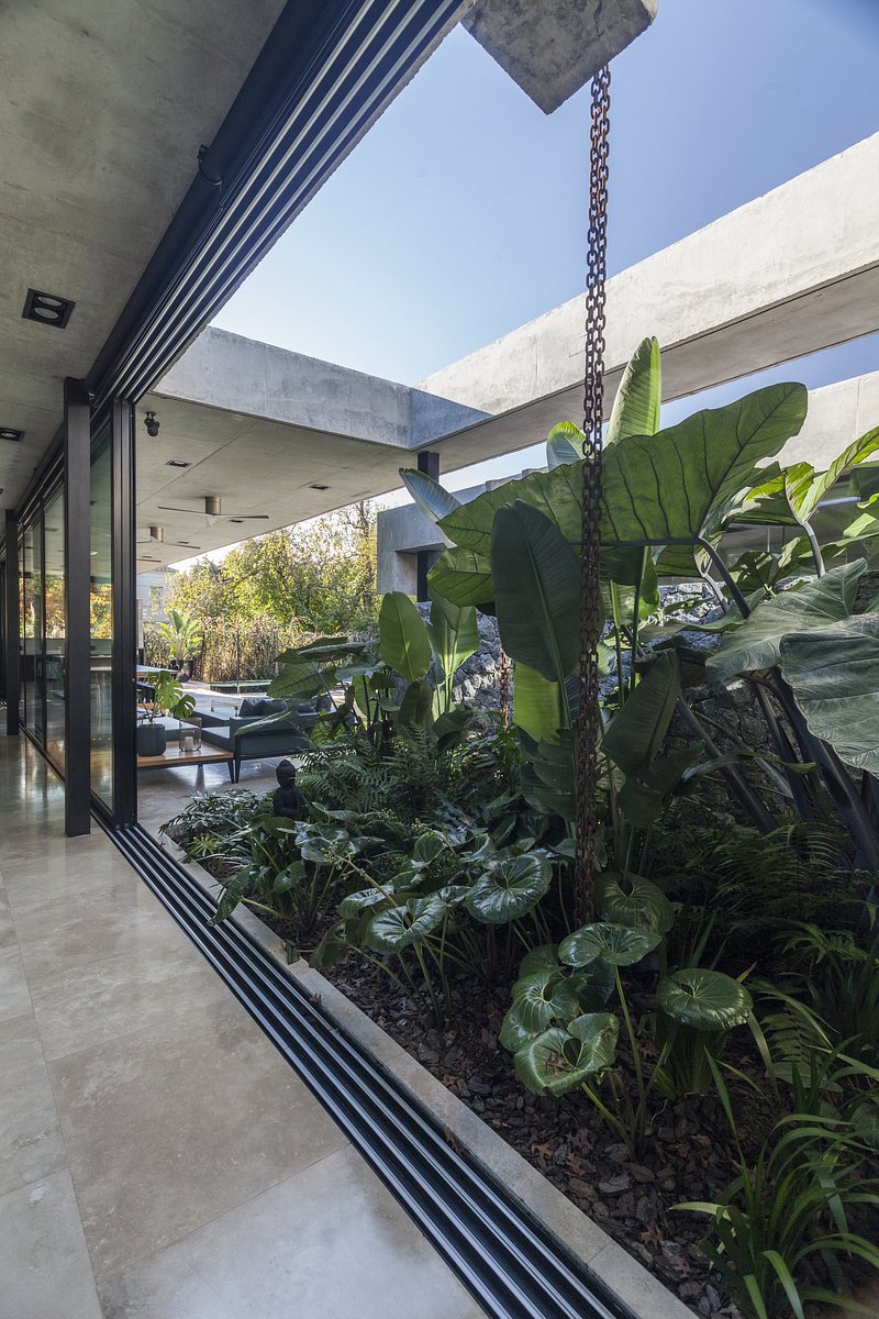 Patio de luz, un oasis en casa