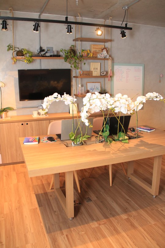 Foto del proyecto