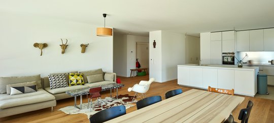 Foto del proyecto