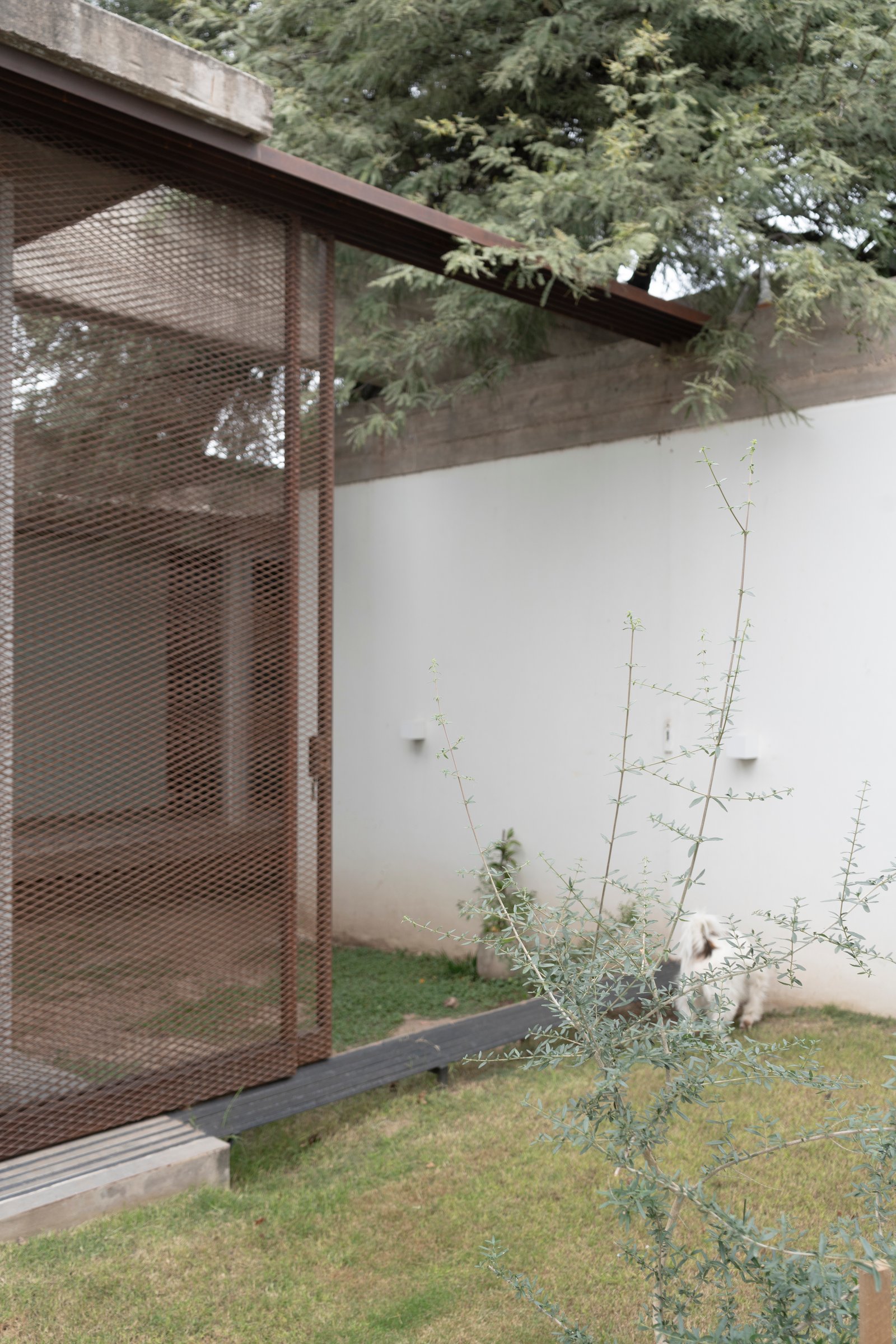 Fachada moderna con portón de malla metálica oxidada y perro blanco — proyecto CASA CHI, por Sol Blanc. arquitecta, en Córdoba