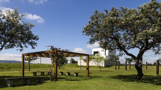 Foto del proyecto