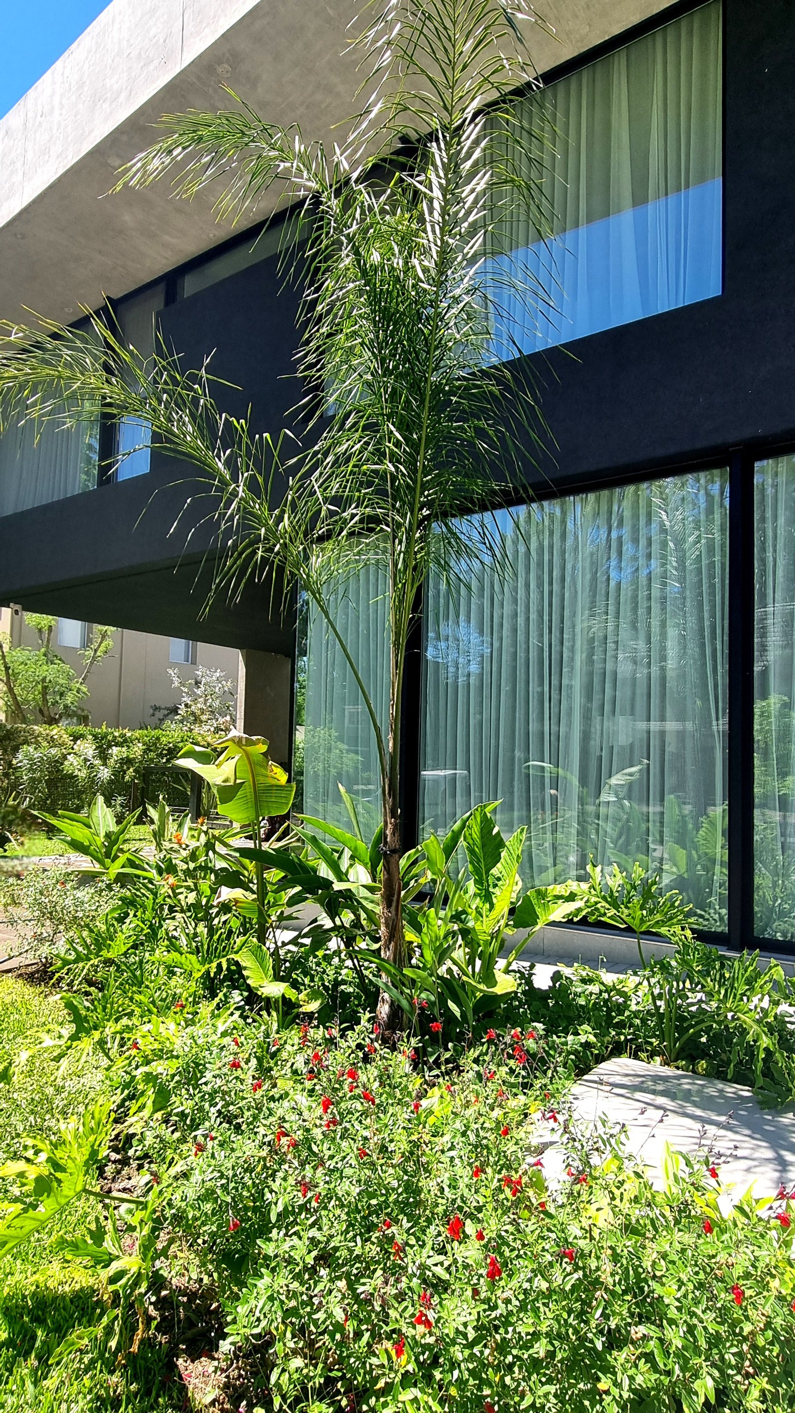 Fachada moderna con grandes ventanales y vegetación exuberante — proyecto Abril  El Lago 1, por Marcela García Brünner Paisajista, en B1885 Guillermo Enrique Hudson