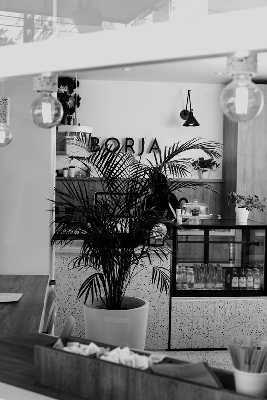 Foto del proyecto