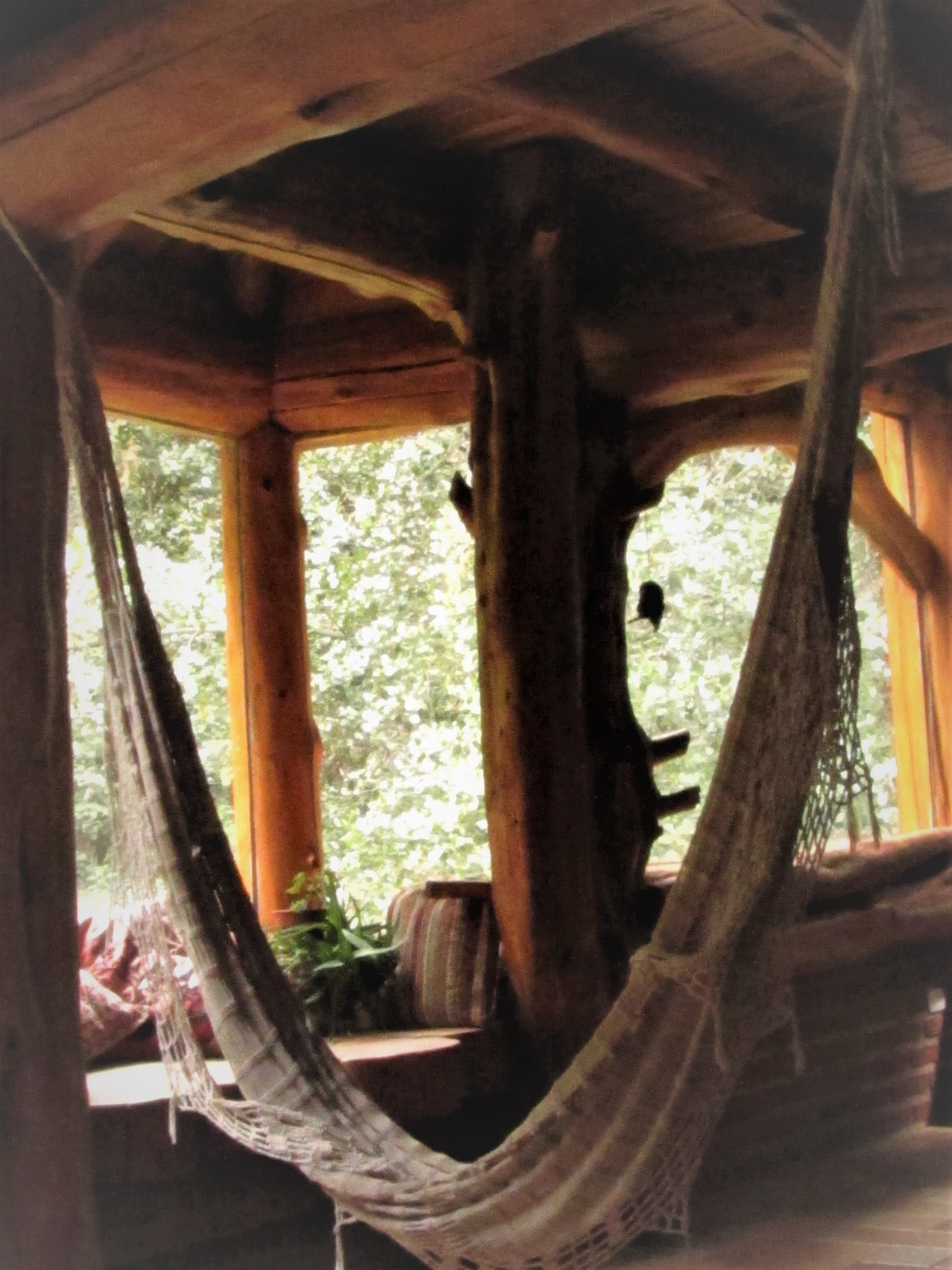 Cabaña rústica con hamaca y vista al bosque — proyecto Casa Familiar VILLA ARELAUQUEN - SAN CARLOS DE BARILOCHE, por arquiga10573853, en San Carlos de Bariloche