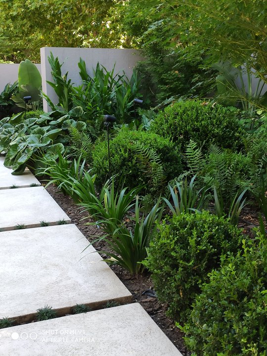 Foto del proyecto