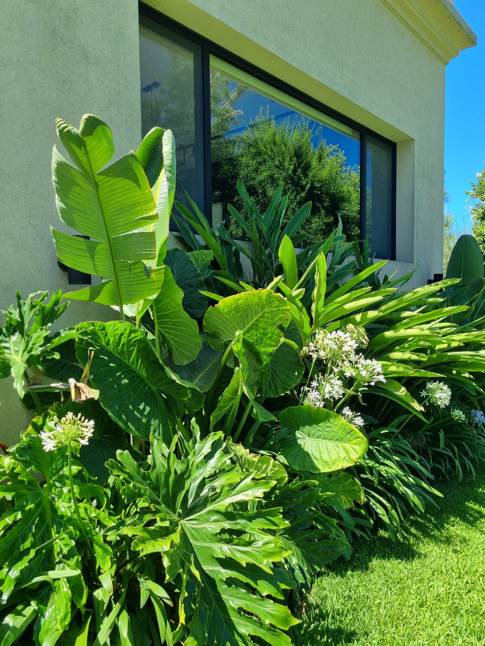 Jardín moderno con vegetación exuberante frente a casa con ventanales — proyecto Abril Club de Campo , por Marcela García Brünner Paisajista, en B1885 Guillermo Enrique Hudson