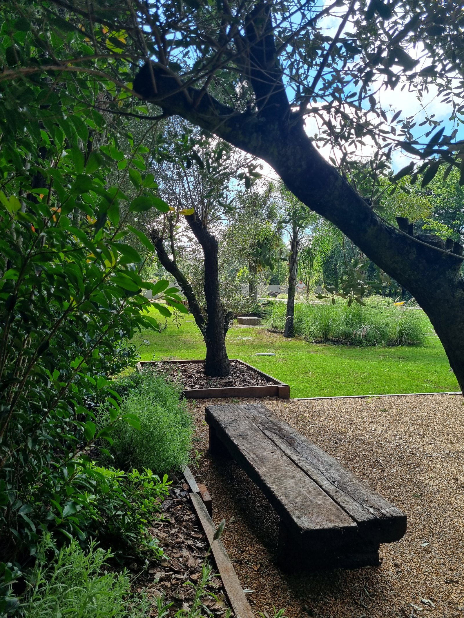 Banco rústico de madera en jardín con vegetación exuberante — proyecto La Quinta, por Marcela García Brünner Paisajista, en El Pato