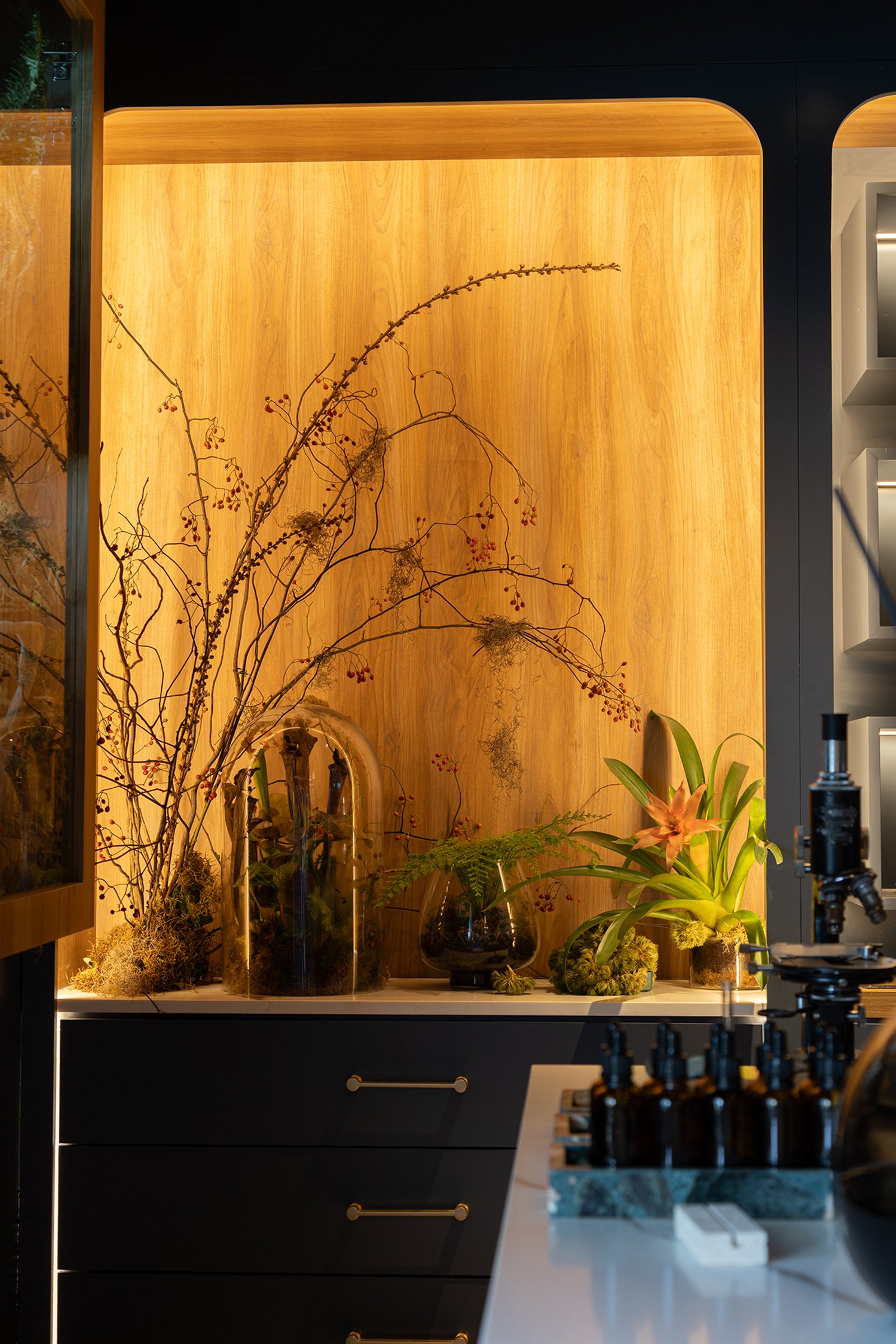 pared de madera retroiluminada con botánica y mueble oscuro — proyecto C'est Moi , por Gaby Alfonso, en B1648 Tigre