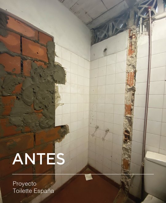 Foto del proyecto