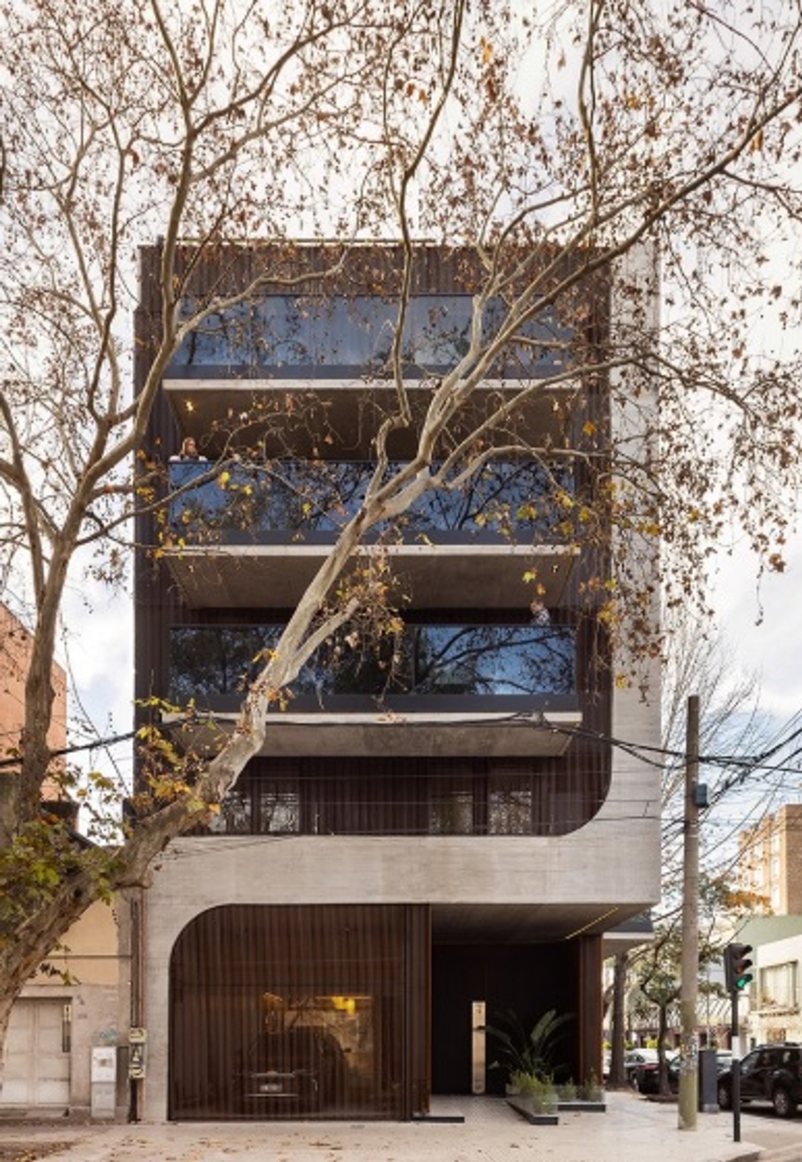 Edificio moderno con fachada curva de hormigón y árboles integrados — proyecto EDIFICIO PATRIMONIO, por DIB OBRIST Arquitectas, en Rosario
