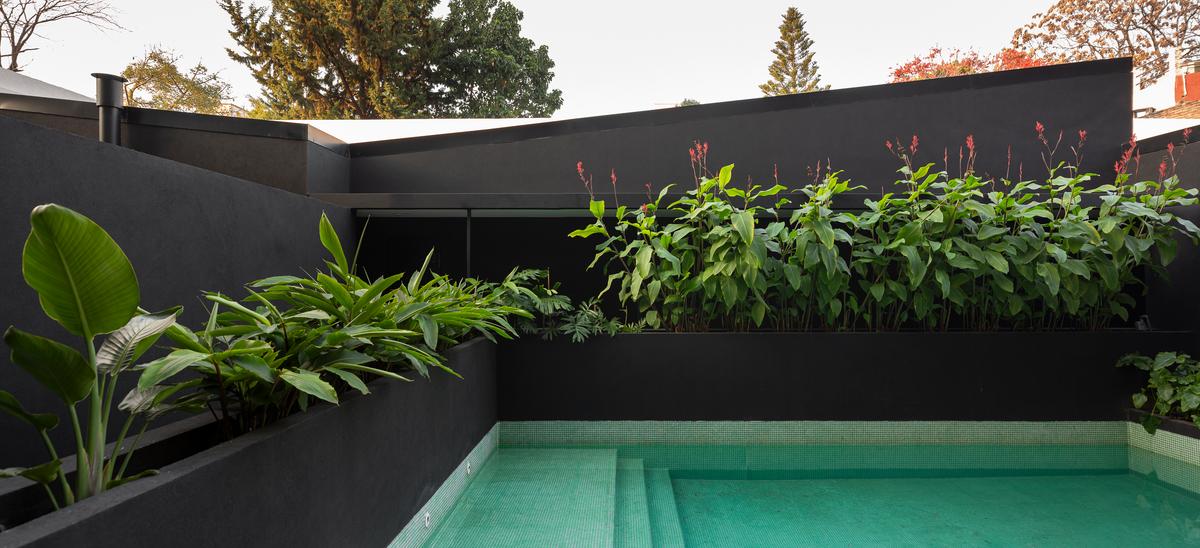 Área de piscina moderna com parede verde e floreiras elevadas pretas — projeto Achalay, por Epífita Arquitectura & Paisaje, em Buenos Aires