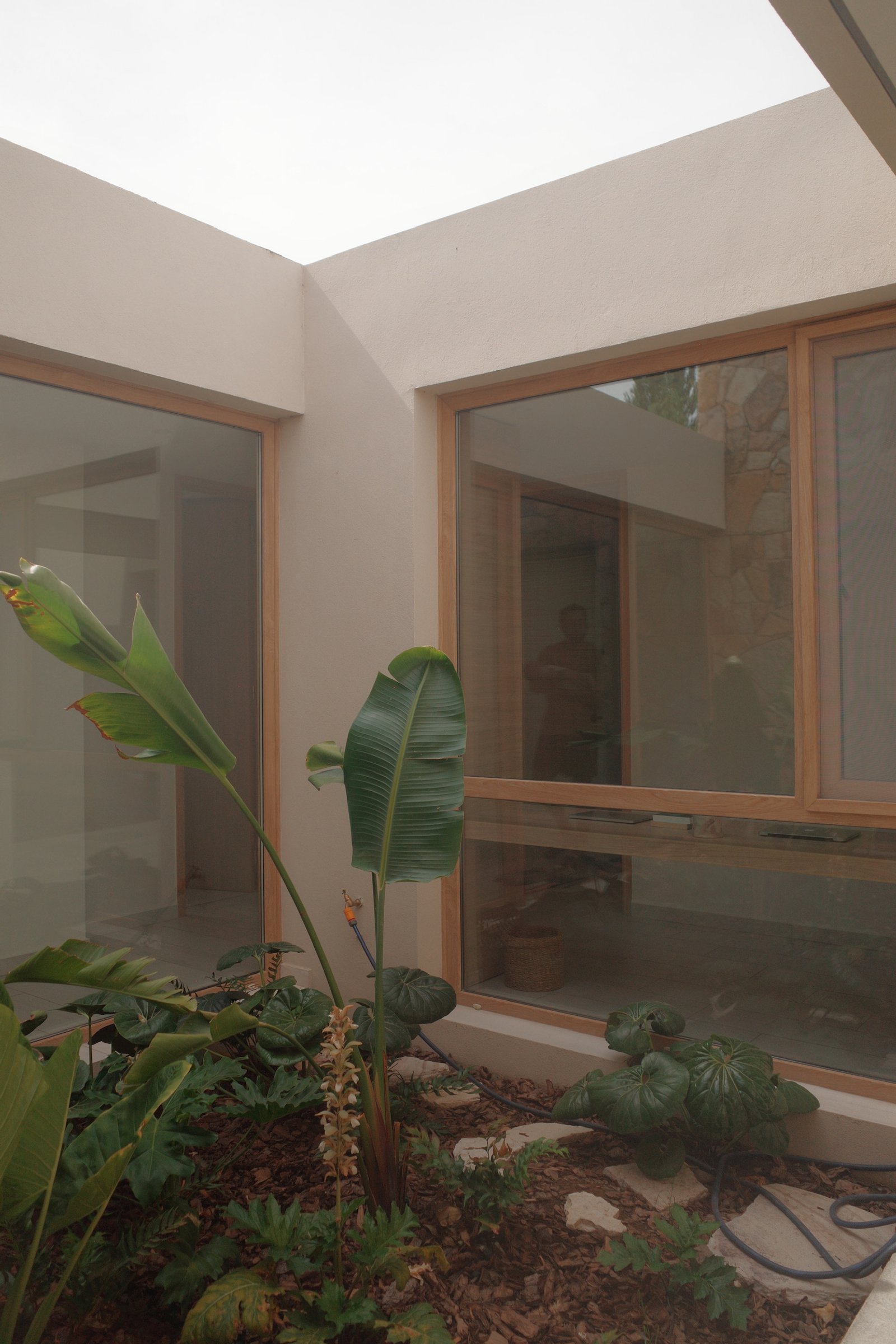 Patio interno moderno con plantas tropicales y ventanas amplias — proyecto Casa Refugio, por Jeitinho Estudió Creativo, en Neuquén