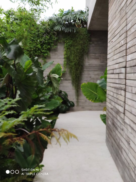 Foto del proyecto