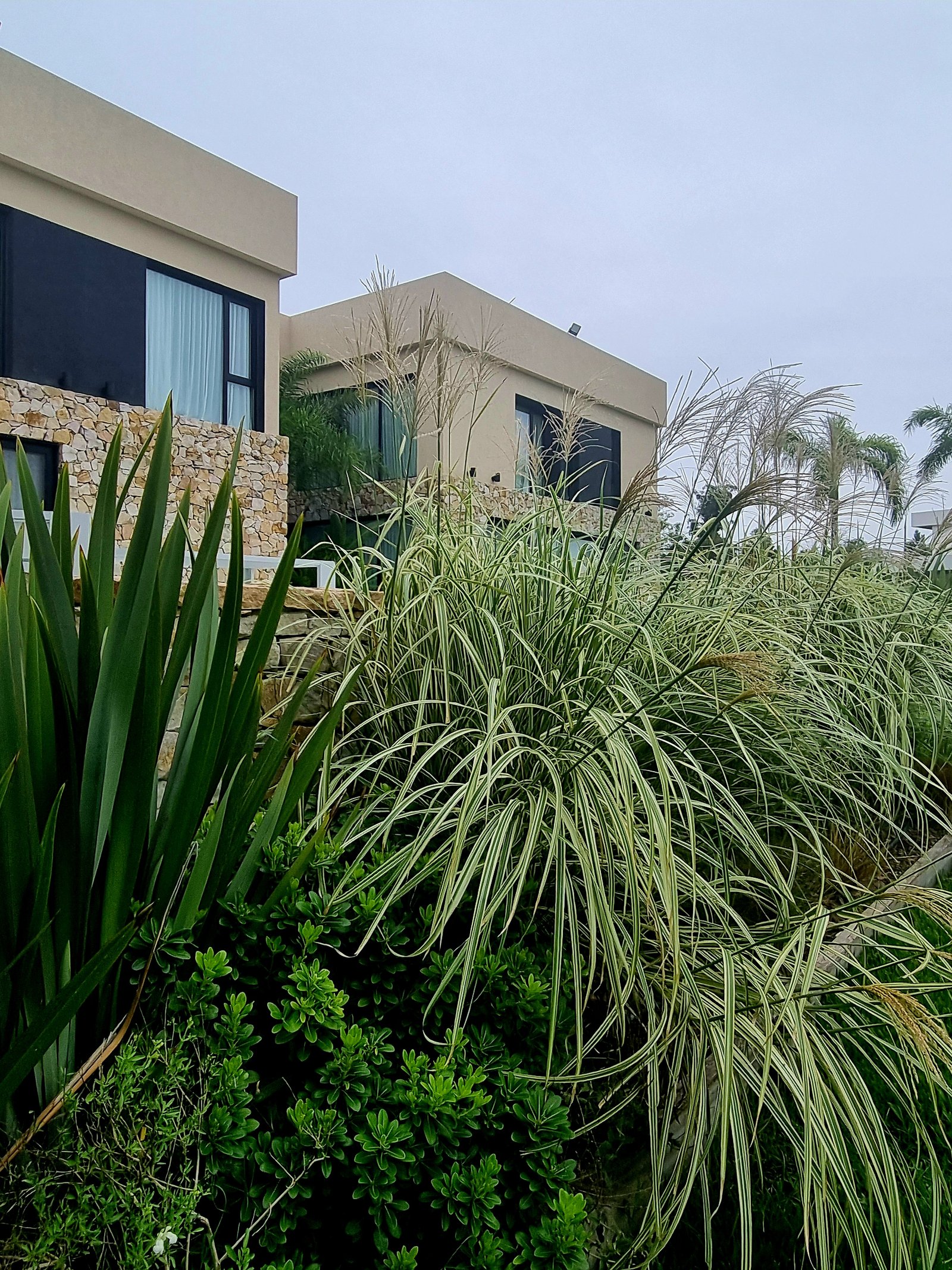 Fachada moderna con vegetación exuberante — proyecto Barrio Hudson Park, por Marcela García Brünner Paisajista, en km 34