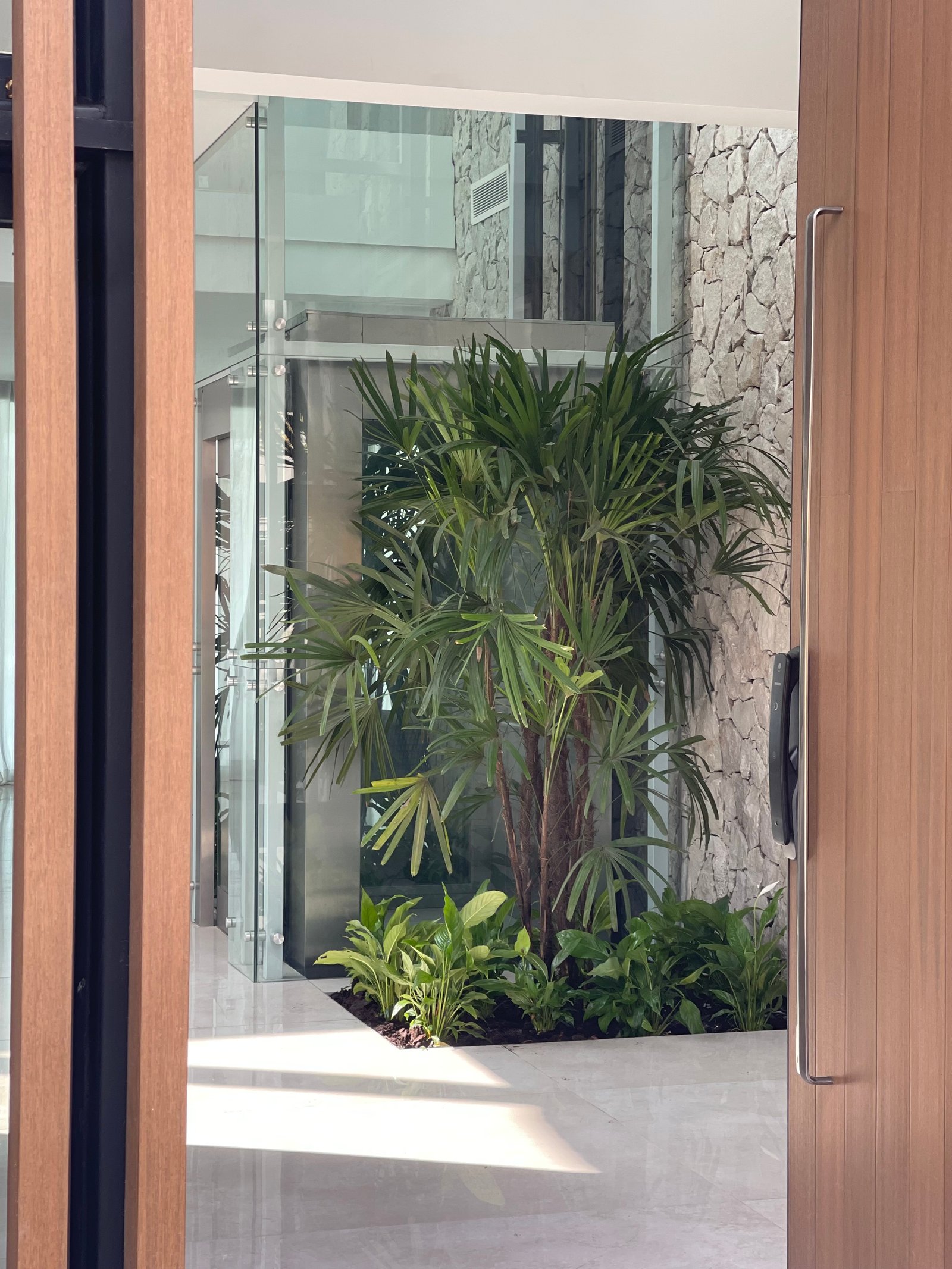 Entrada moderna con palmera interior y pared de piedra — proyecto ALBANUEVA, por Baires Green, en B1648 Tigre