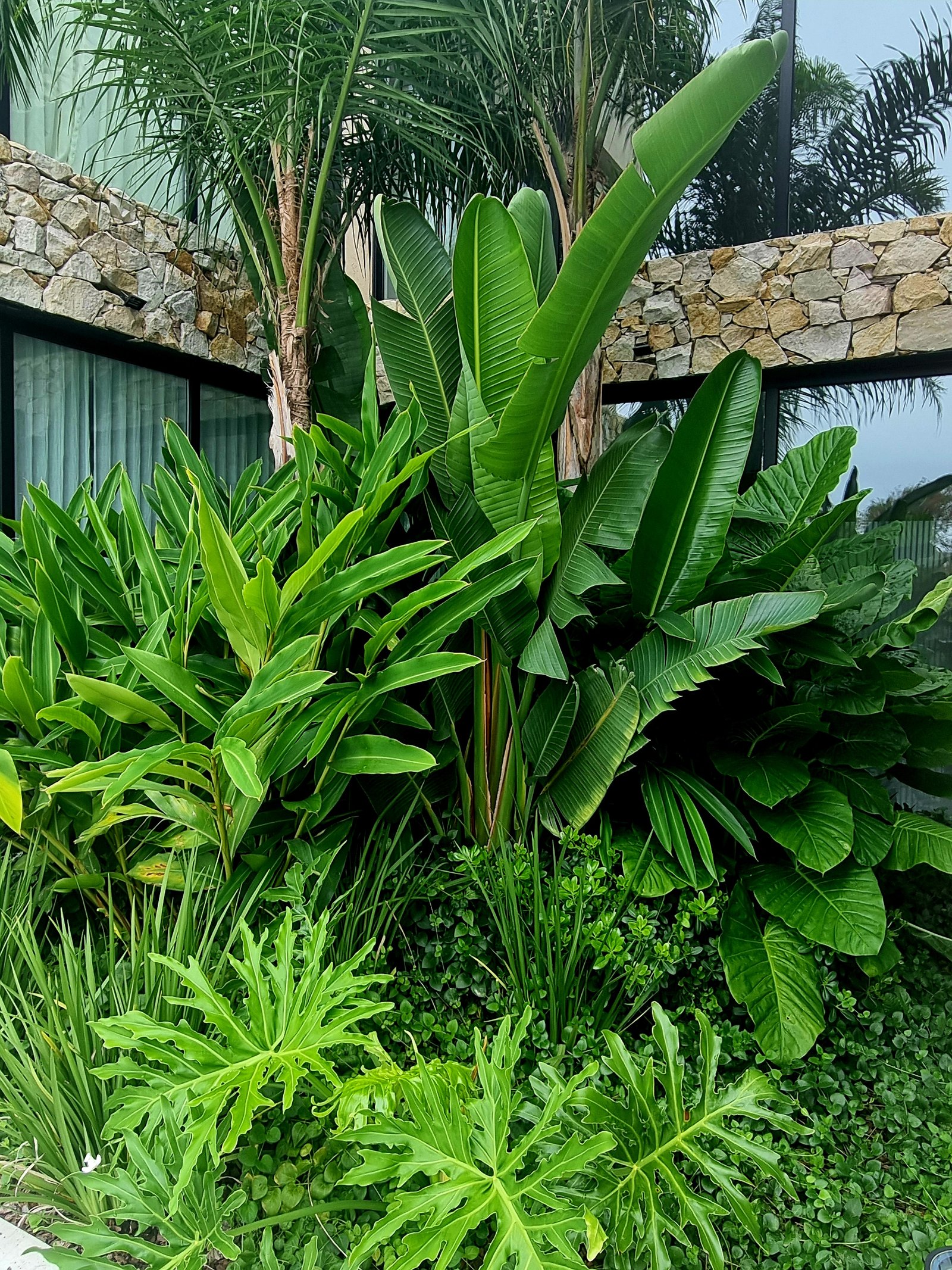 Jardín tropical exuberante junto a moderna fachada de piedra — proyecto Barrio Hudson Park, por Marcela García Brünner Paisajista, en km 34