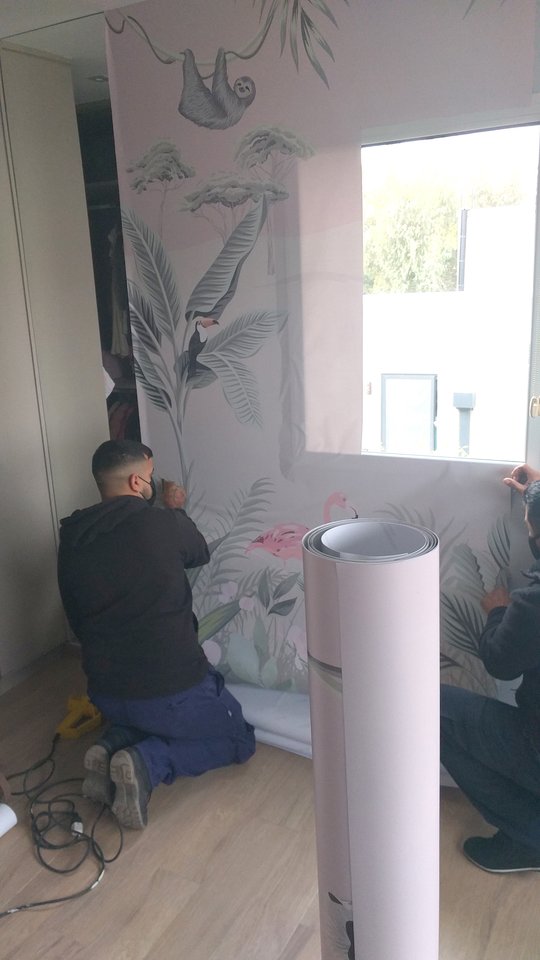 Foto del proyecto